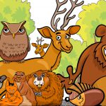 Skattjakt: Djurens vilda skogsäventyr 4-6 år